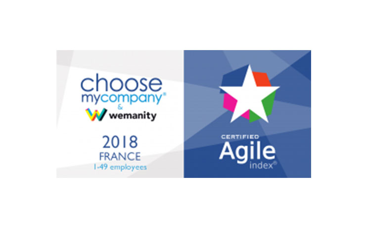 certificate partner agileindex 2018