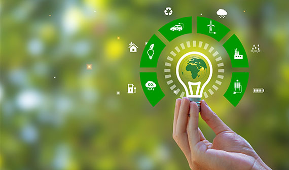Le Coq Vert un réseau de connaissance sur les enjeux du développement durable en entreprise