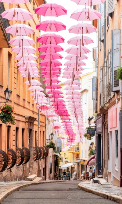 Intégration Salesforce PACA