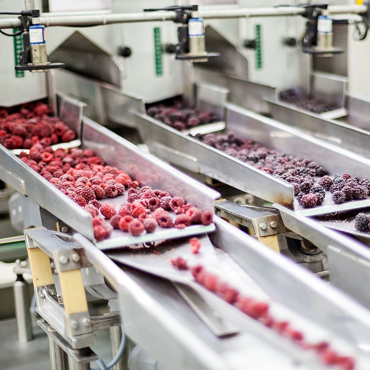 4CAD Group : exposant au salon CFIA