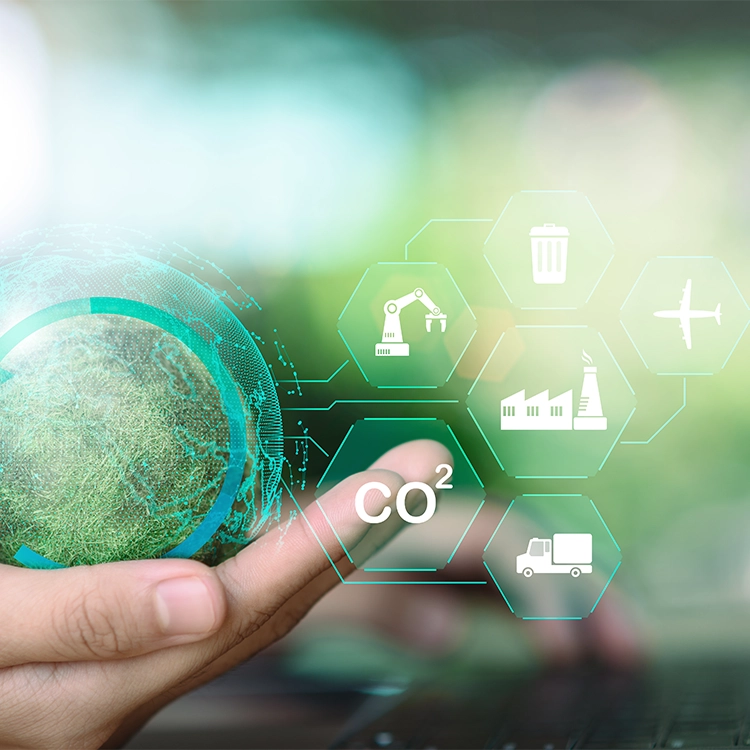 Formation développement durable