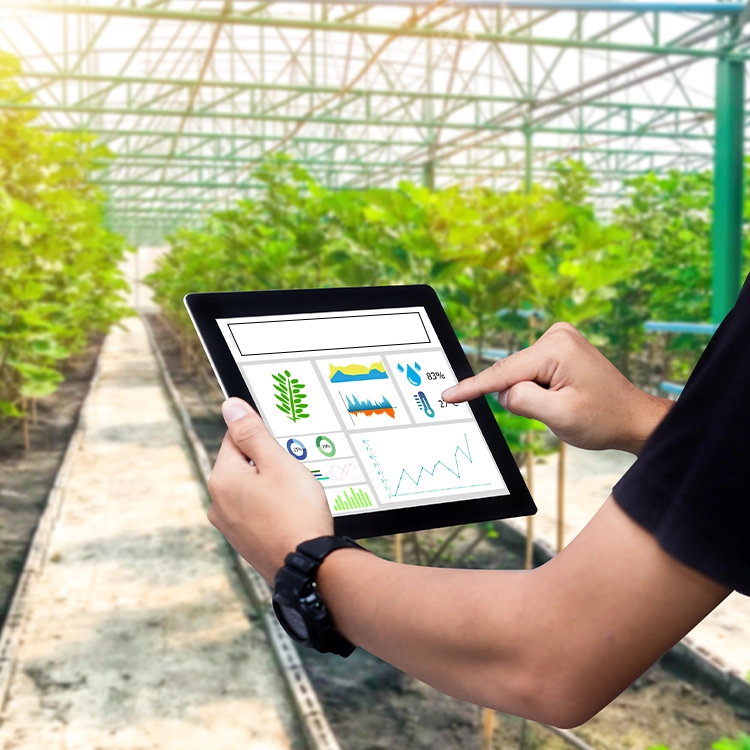 Digitalisation de la filière agroalimentaire