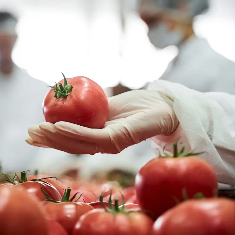 Enjeux des entreprises agroalimentaires suisses