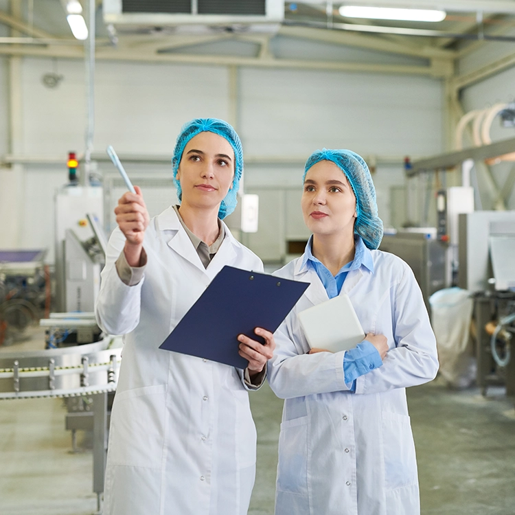 Industrie agroalimentaire : filière Sage X3 Agro