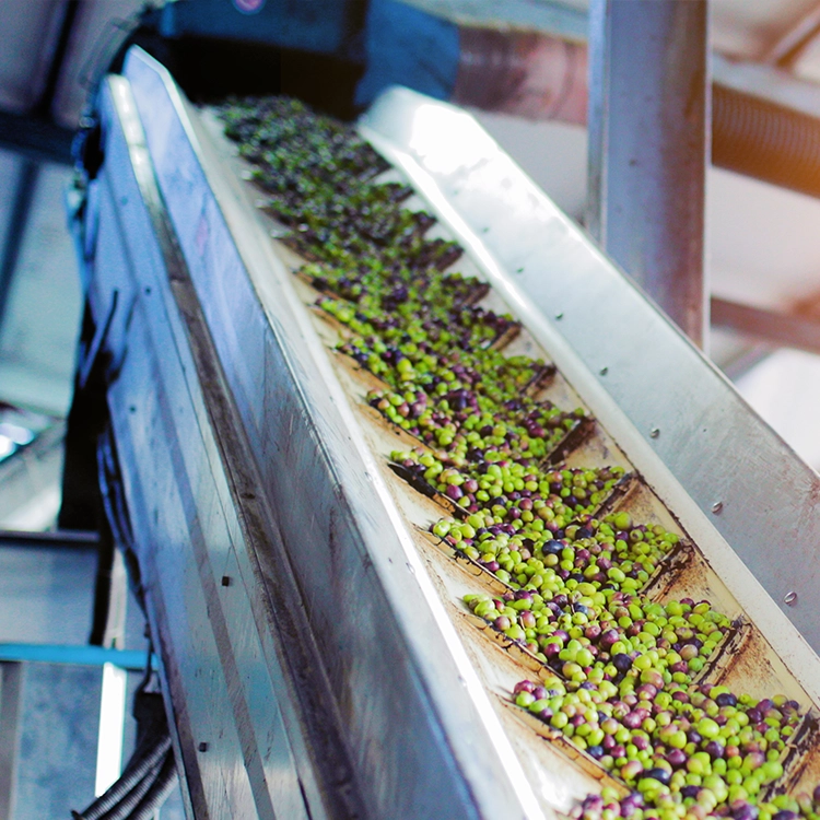 ERP agroalimentaire : fonctionnalités et bénéfices