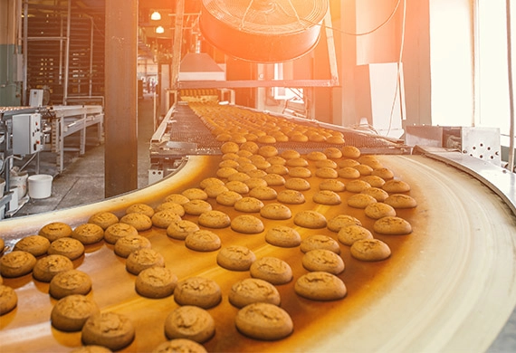 MES, PLM agroalimentaire : optimisez vos lignes de production