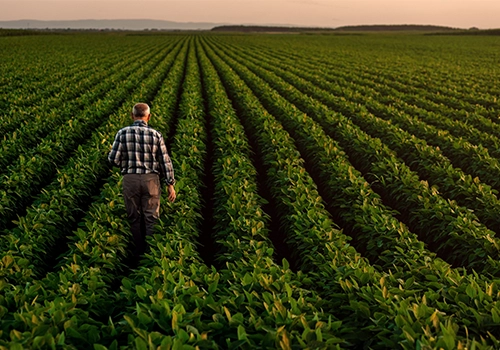 Cluster Food & Nutrition Suisse : industrie agroalimentaire durable